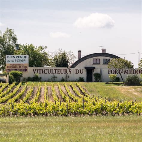Médoc'Laine à Cussac-Fort-Médoc