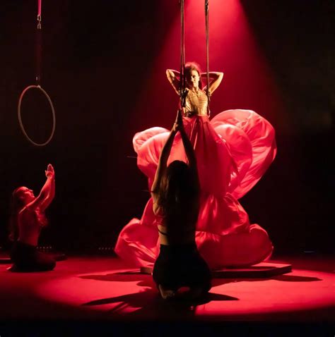 MLDA Pole Studio à Dijon