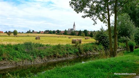 MON AUTRE DRESSING à Bouvines