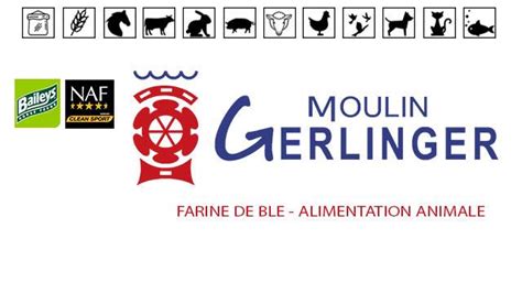 MOULIN GERLINGER à Rothbach