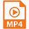 MP4 File Type