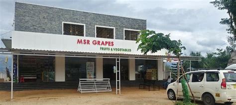 MSR Grapes Garden