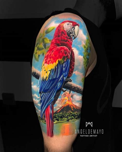 Macaw Tattoo Studio
