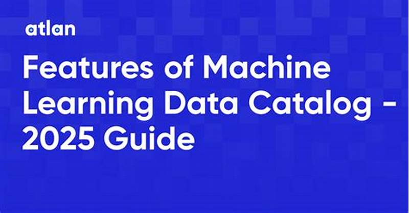Machine Learning Data Catalog Features