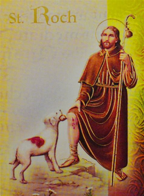 Magibat à Saint-Roch