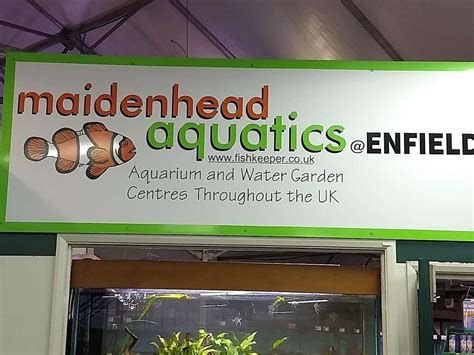 Maidenhead Aquatics Enfield