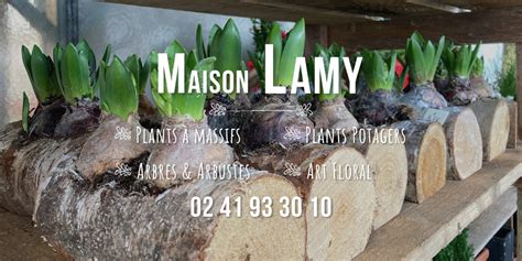 Maison Lamy à Sceaux-d'Anjou