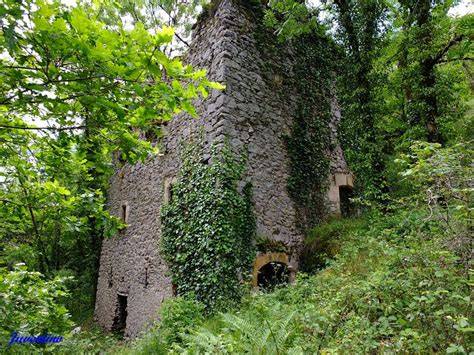 Maison du Meunier à Peyrusse-le-Roc
