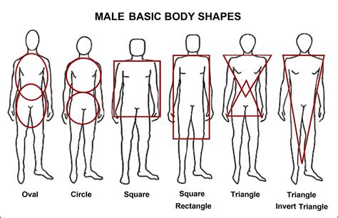 Male Body Shape Chart