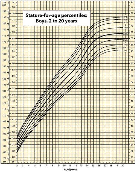 Male Height Percentile Chart