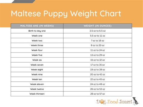 Maltese Puppy Weight Chart