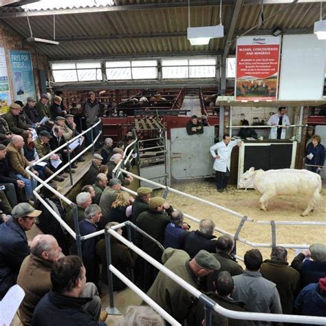 Malton Livestock Auctioneers
