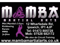 Mamba Martial Arts
