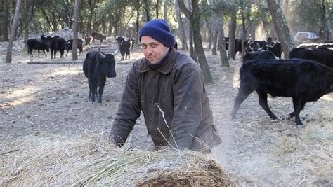 Manade Alain à Assas