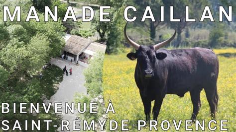 Manade Caillan à Saint-Rémy-de-Provence