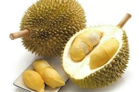 Manfaat Durian untuk Daya Tahan Tubuh