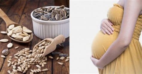 Manfaat kuaci rebo untuk ibu hamil