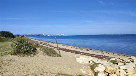 Mango à La Teste-de-Buch