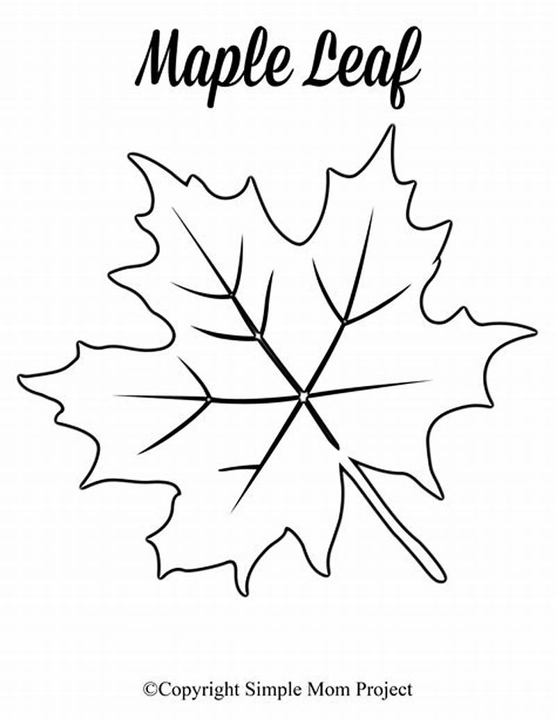 Maple Leaf Pattern
