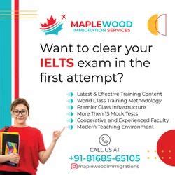 Maplewood IELTS Institute in Rohtak