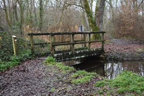 Marais de Labarde à Labarde