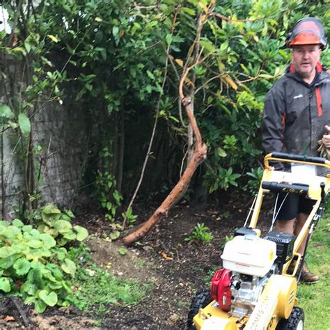 Martin Spray @ Aldwick Gardening Services