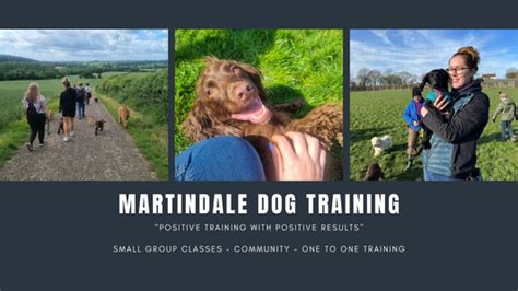Martindale Dog Training