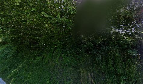 Mathieu Lefebvre à Fourneville