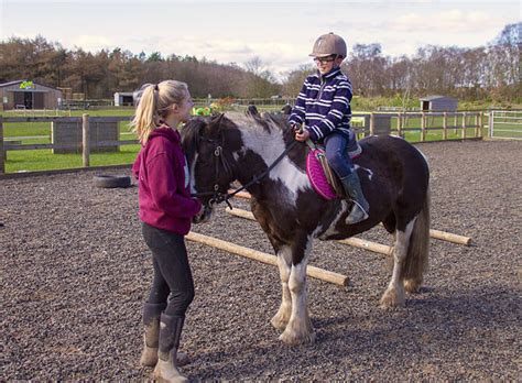 Matlock Farm Park Riding School