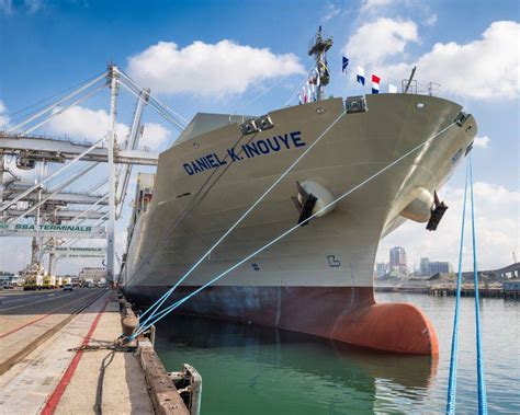 Matson rolls out WhaleSpotter whale detection system on multiple ships