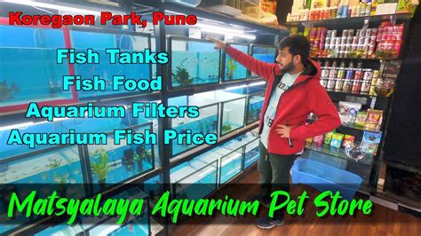 Matsyalaya Fish Aquarium & Pet Shop