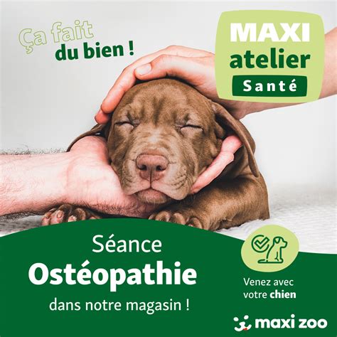 Maxi Zoo Anglet à Anglet