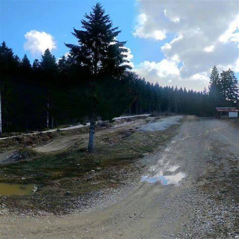Mc Mx St Laurent à Saint-Laurent-en-Grandvaux