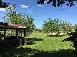 Meadow View Farm