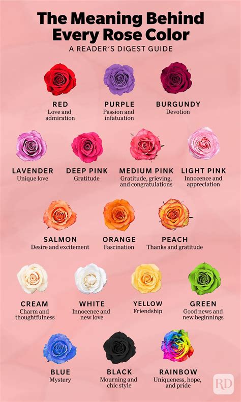 Meaning Of Color Of Roses Chart