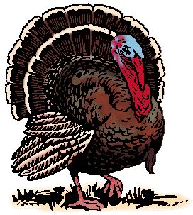 Meaning and Definition of the Word Turkey from Merriam-Webster