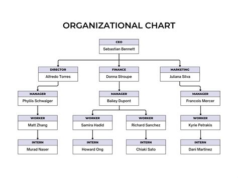Medicare Organizational Structure Diagram Flowchart Template