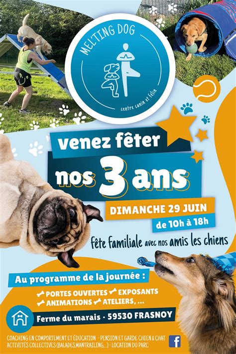 Mel'ting Dog à Frasnoy