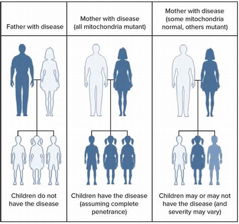 Melas Inheritance Pattern