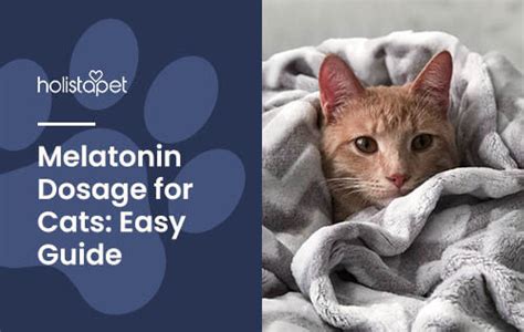 Melatonin For Cats Dosage Chart