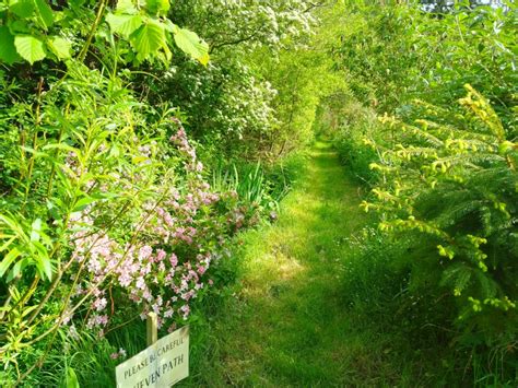 Melindwr Valley Bees