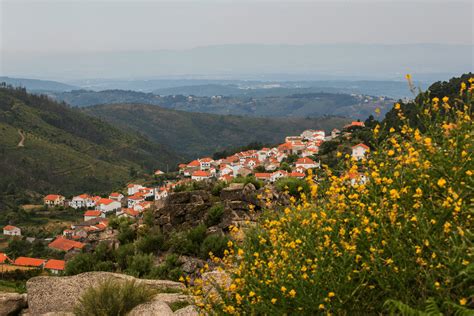Melmequer Valezim