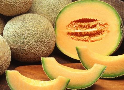 Budidaya Melon Kuning di Indonesia: Tips dan Manfaatnya