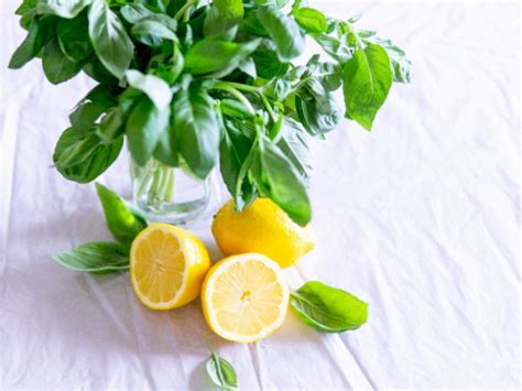 Manfaat Air Lemon untuk Rambut