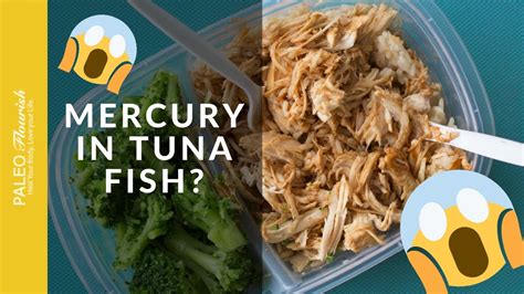 Mercury Contamination and Tuna