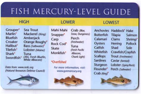 Mercury Levels In Fish Chart