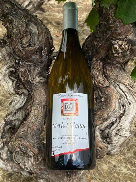 Merlot à Morteau