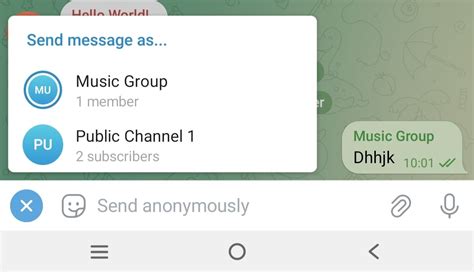 Message to Anonymous Source and Anonymous Chat Option