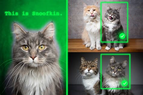 Method teaches generative AI models to locate personalized objects