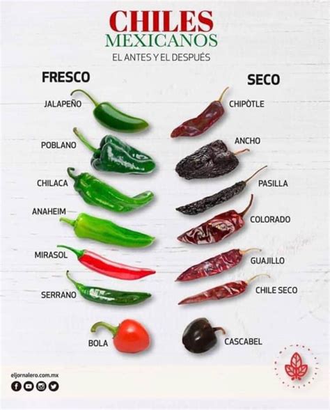 Mexican Chiles Chart